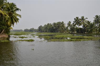 Houseboat-Tour from Alleppey to Kollam_DSC6720_H600